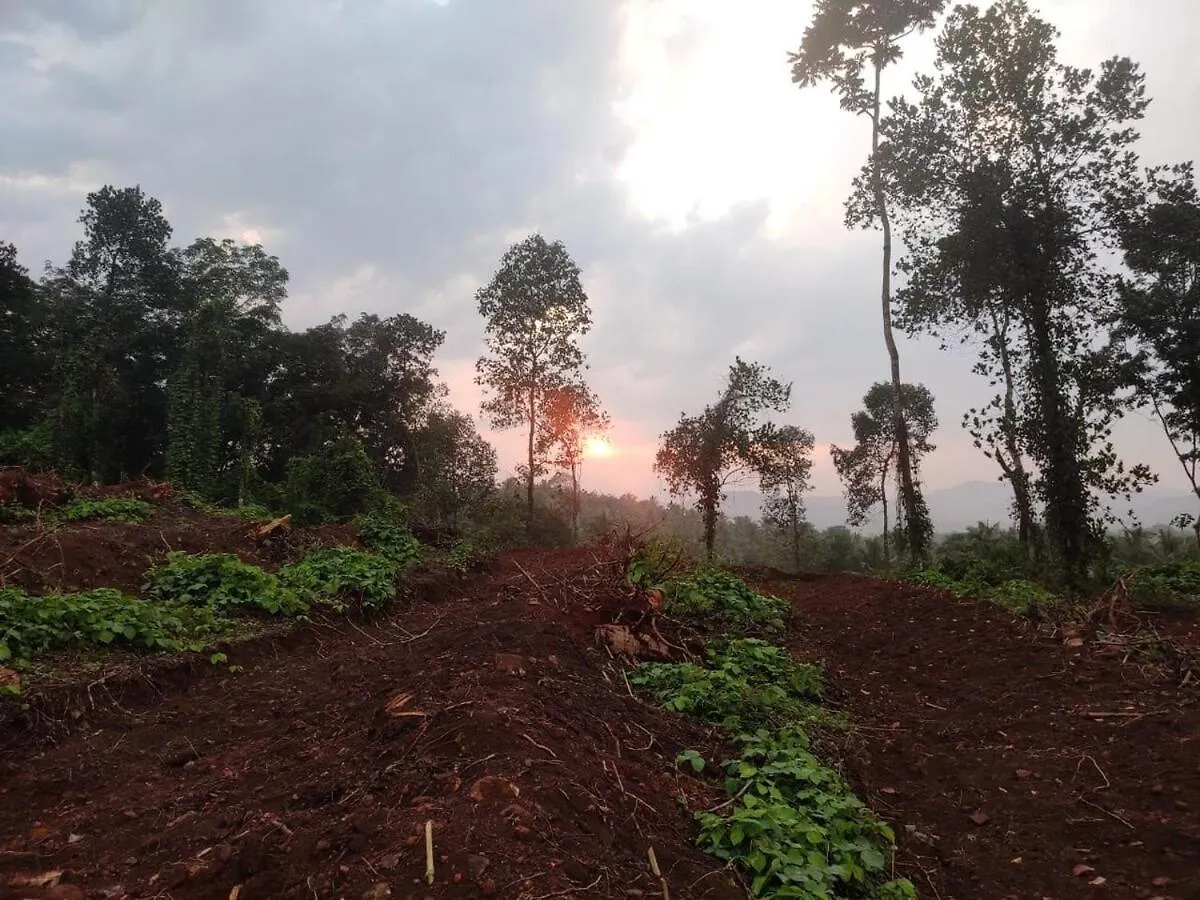 Vasudha Eco Homestay Paithalmala 0*,  Indien