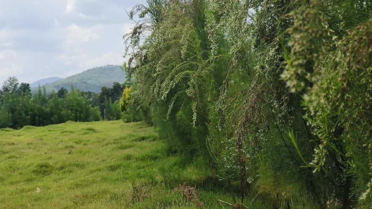 Casa vacanze Vasudha Eco Homestay Paithalmala India