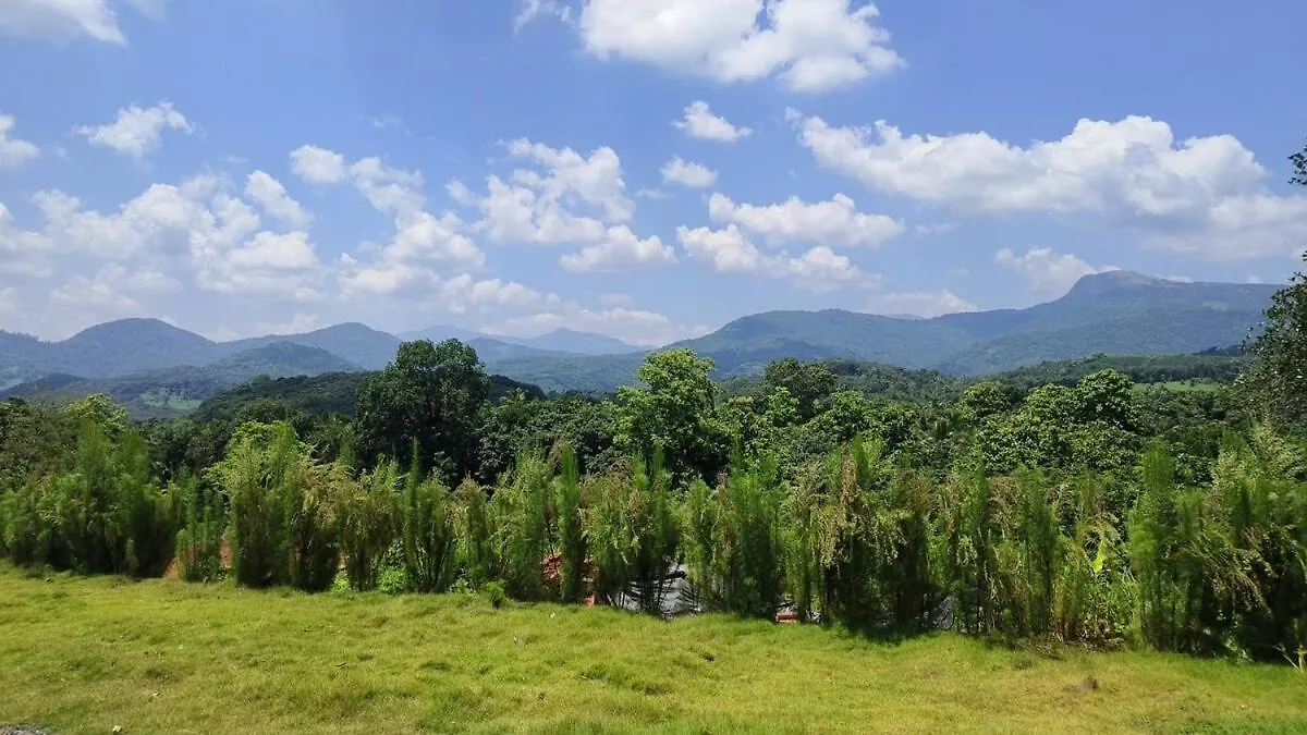Vasudha Eco Homestay Paithalmala 0*,