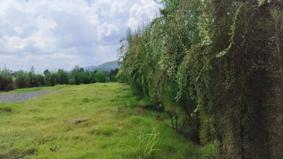 Vasudha Eco Homestay Paithalmala Casa vacanze